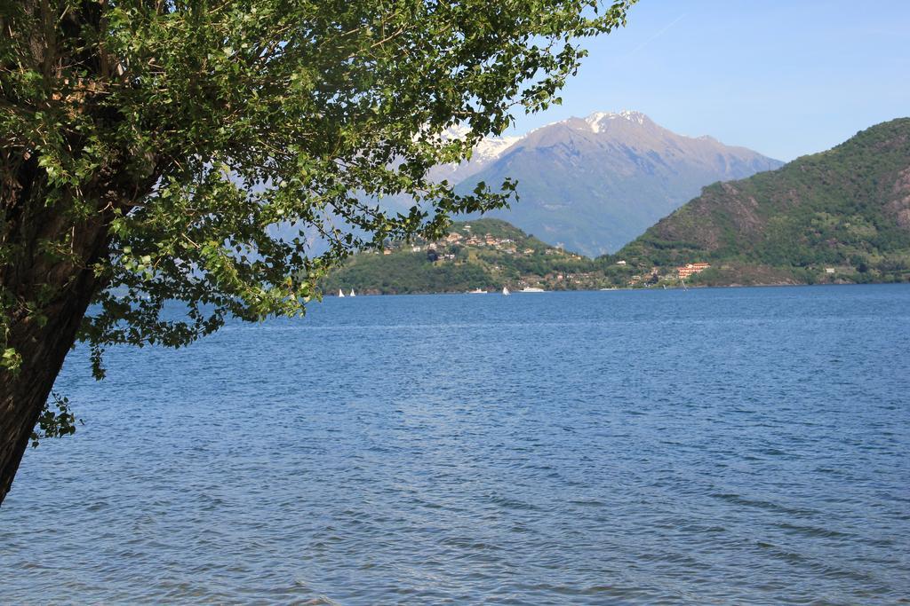 Veranda Beach Apartment Pianello Del Lario 客房 照片