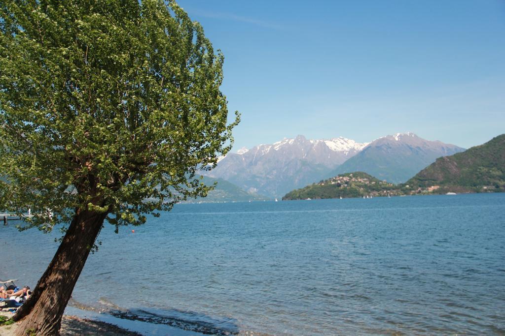 Veranda Beach Apartment Pianello Del Lario 客房 照片
